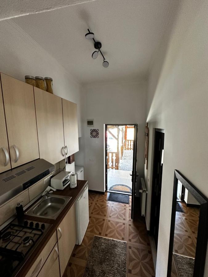 Borkum Daire Sibiu Dış mekan fotoğraf