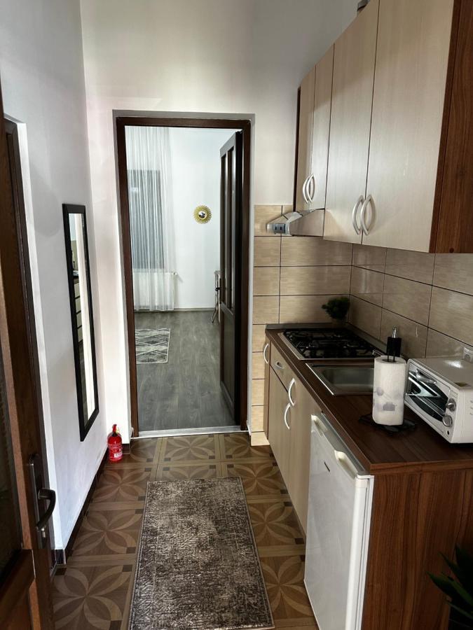 Borkum Daire Sibiu Dış mekan fotoğraf